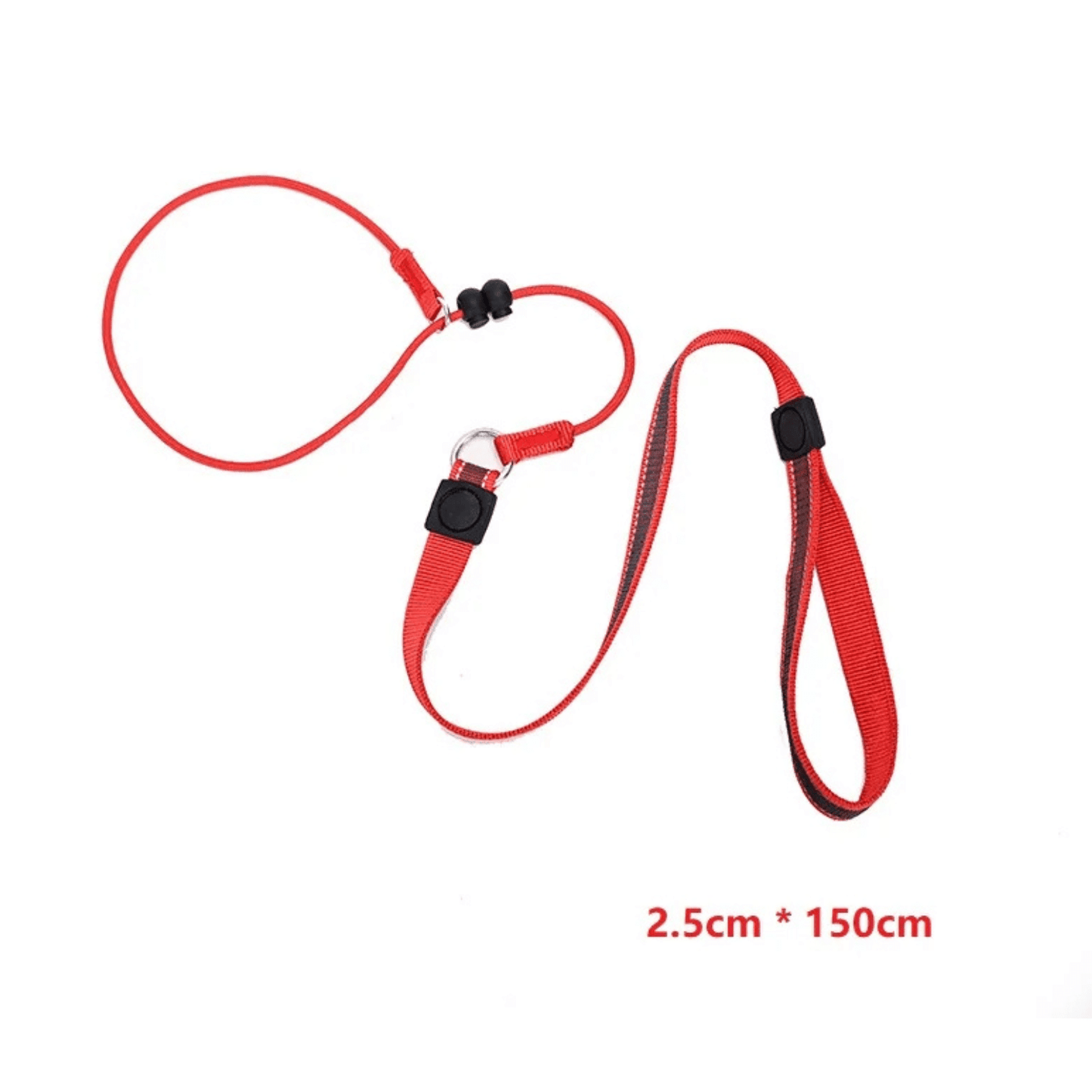 2-in-1 Slip Leash & Collar