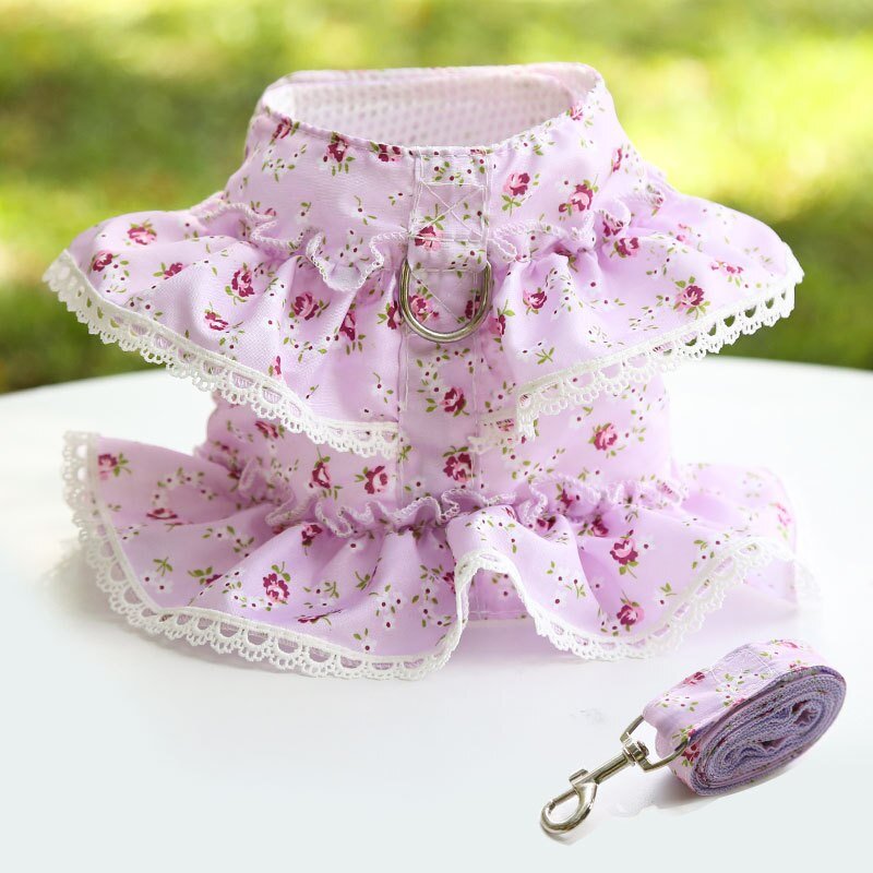 Cute Vest Harness And Leashes