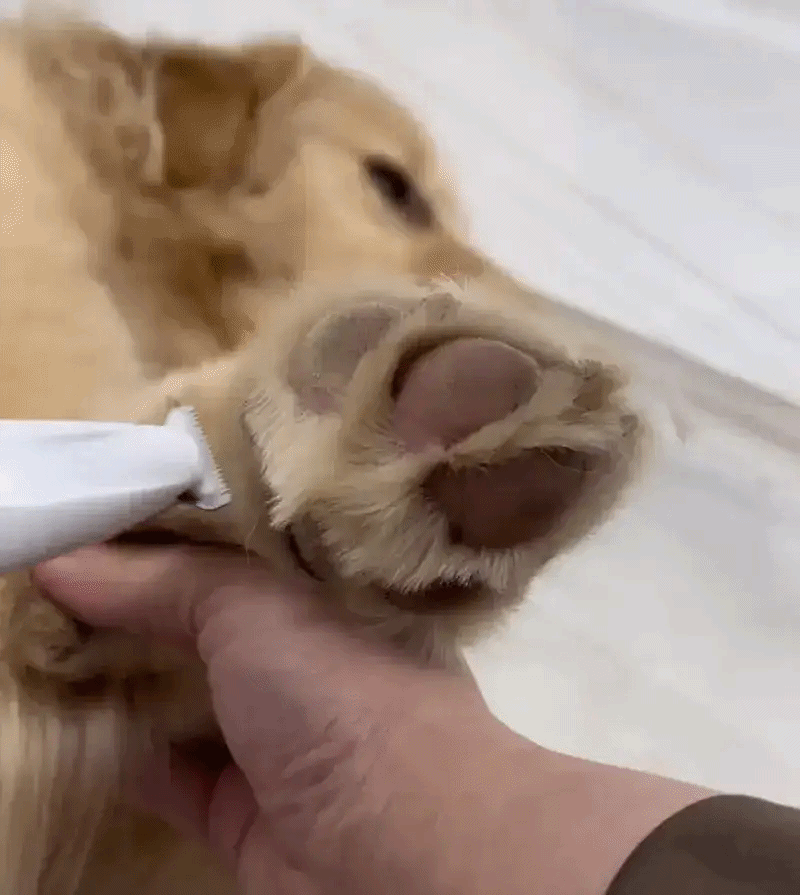 PawGlow Illuminated Pet Paw Hair Trimmer For Precise Grooming