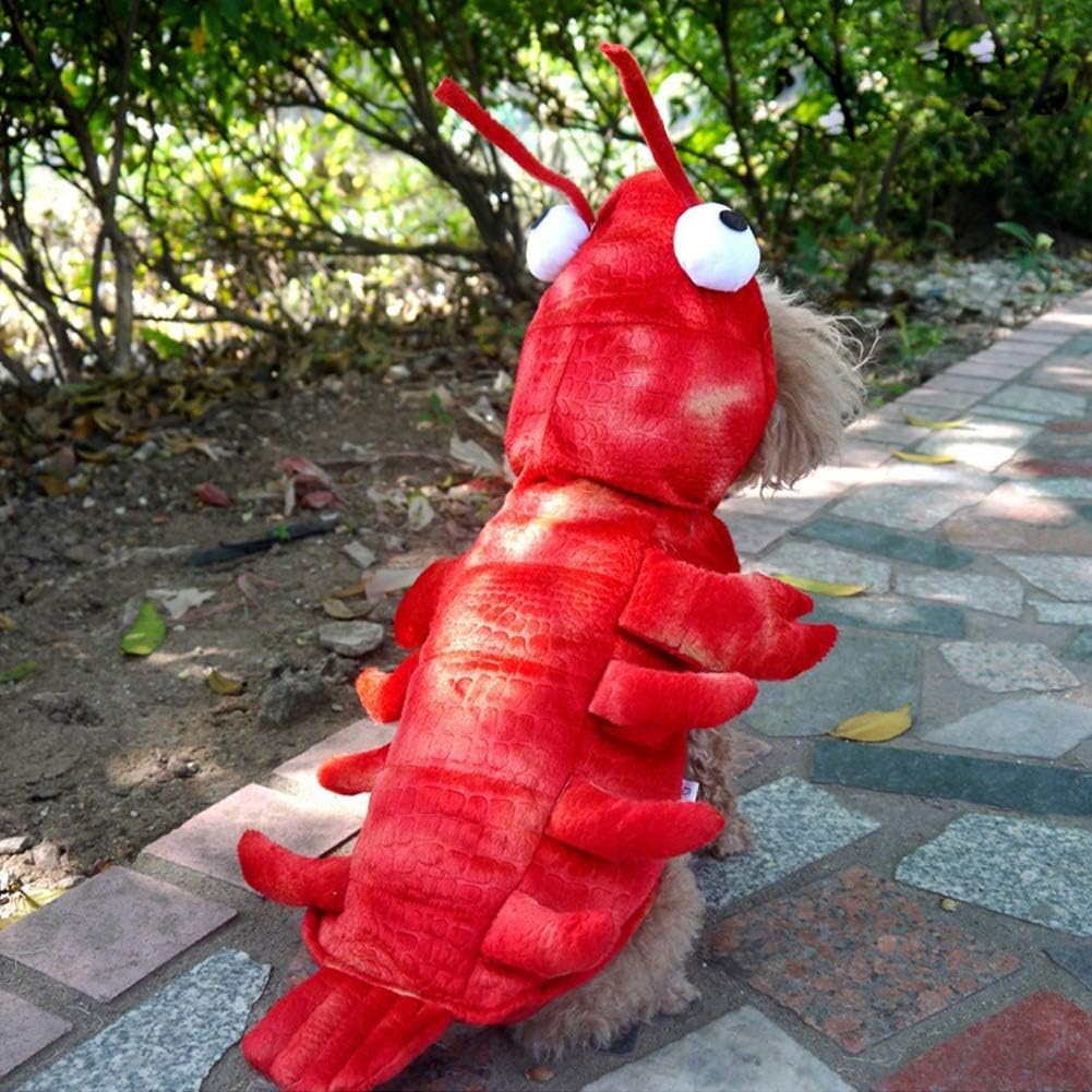 Lobster Costume
