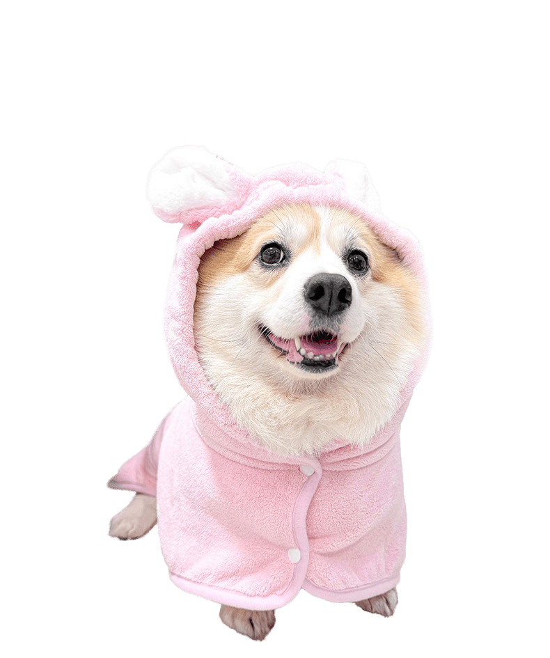 New Quick-Drying Absorbent Pet Bathrobe Towel