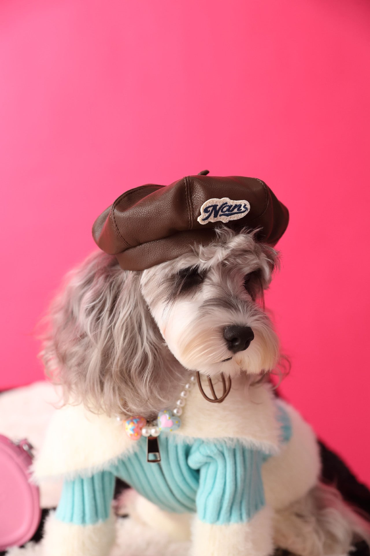 Pawesome Photoshoots - Pumpkin Hat π