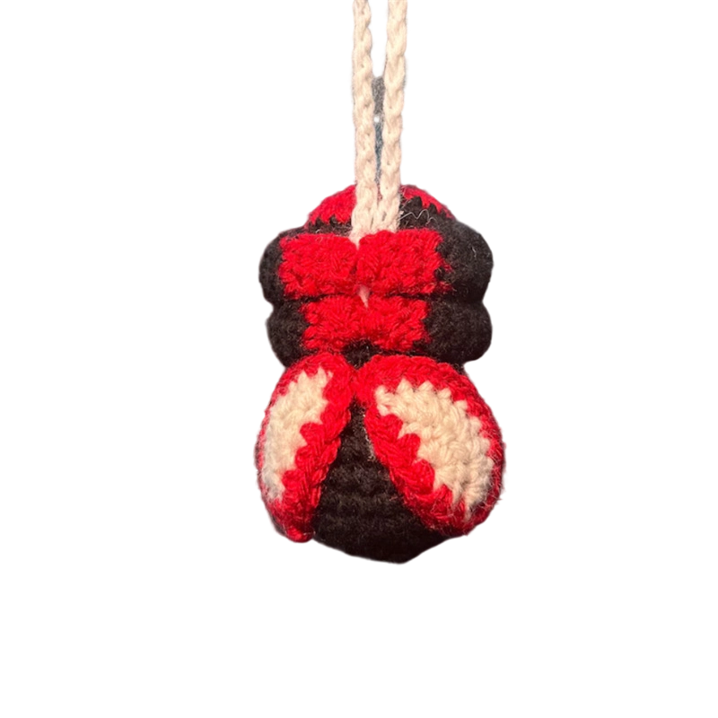 🏆 Last Day Deal 🔥Crochet Spider Car Hanger Ornament