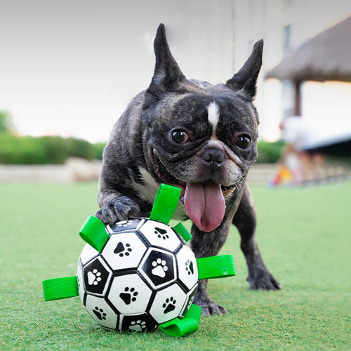 Durable Bite Resistant Soccer Ball Interactive Outdoor Play Toy For Dogs