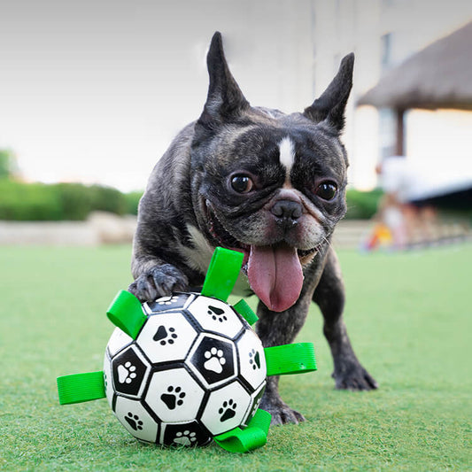 Durable Bite Resistant Soccer Ball Interactive Outdoor Play Toy For Dogs