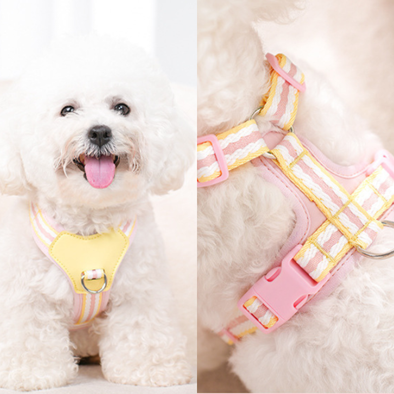 Mesh Dog Harness Leash Set For Small Puppy Dogs