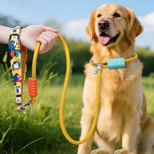 Nylon Anti Pull Slip Lead Leash For Medium Large Dogs