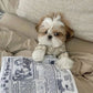 1pc Tearproof Newspaper Squeaky