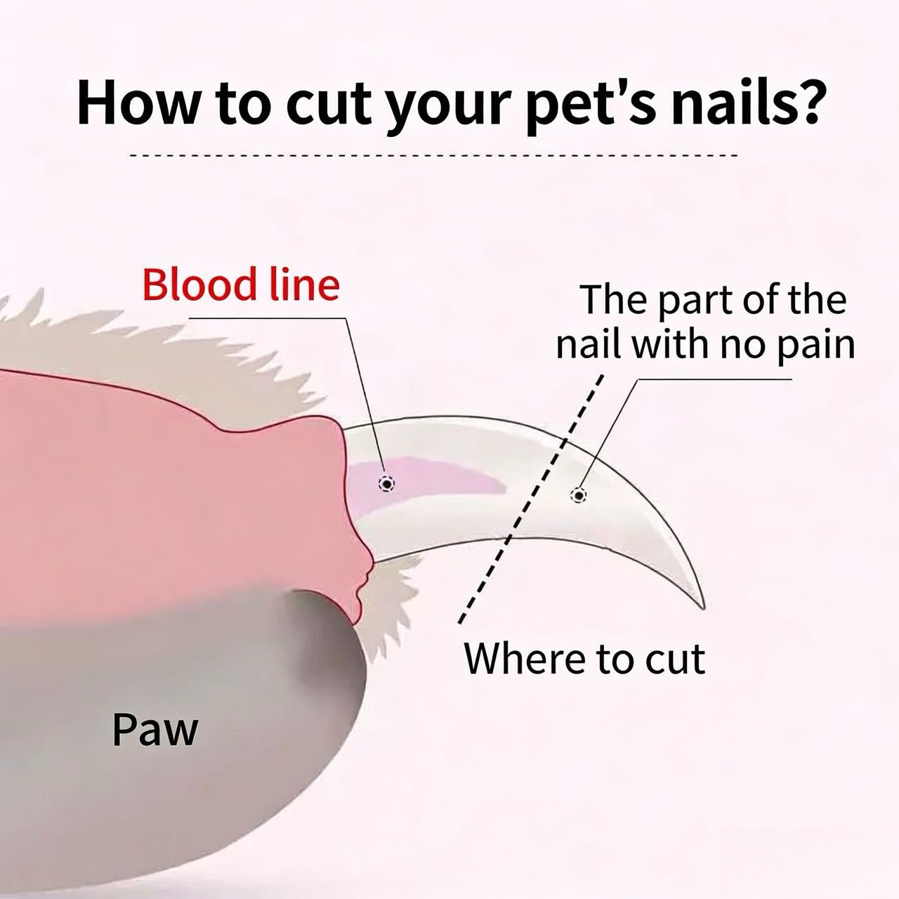2-in-1 LED Pet Nail Trimmer