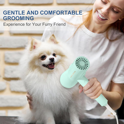 L&W BROS 2-in 1 Overheating Protection Low Noise Dryer for Small Dogs