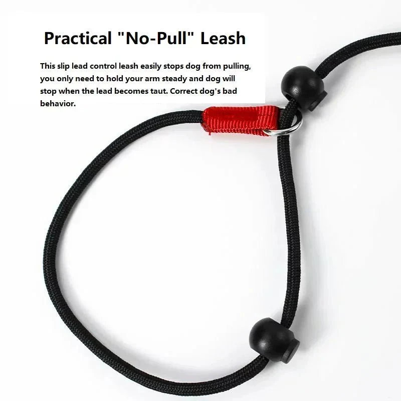 2-in-1 Slip Leash & Collar