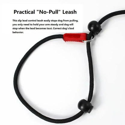 2-in-1 Slip Leash & Collar