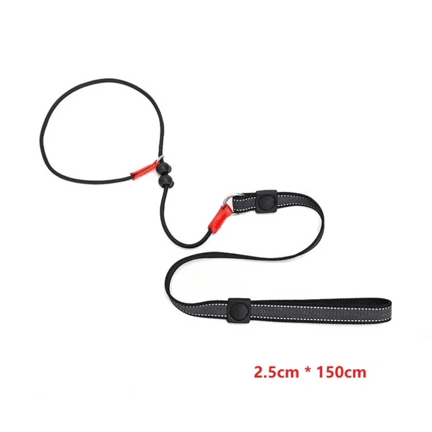 2-in-1 Slip Leash & Collar