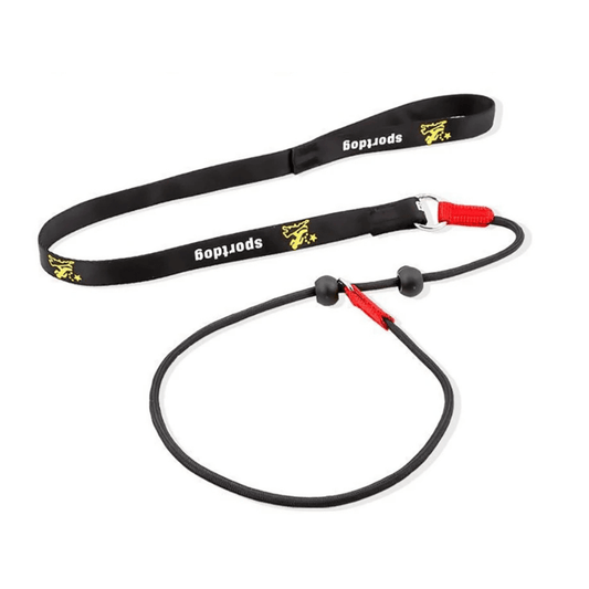 2-in-1 Slip Leash & Collar