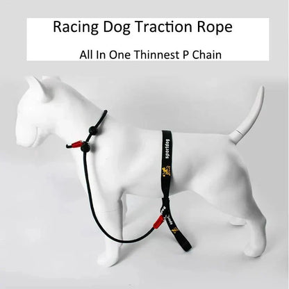 2-in-1 Slip Leash & Collar