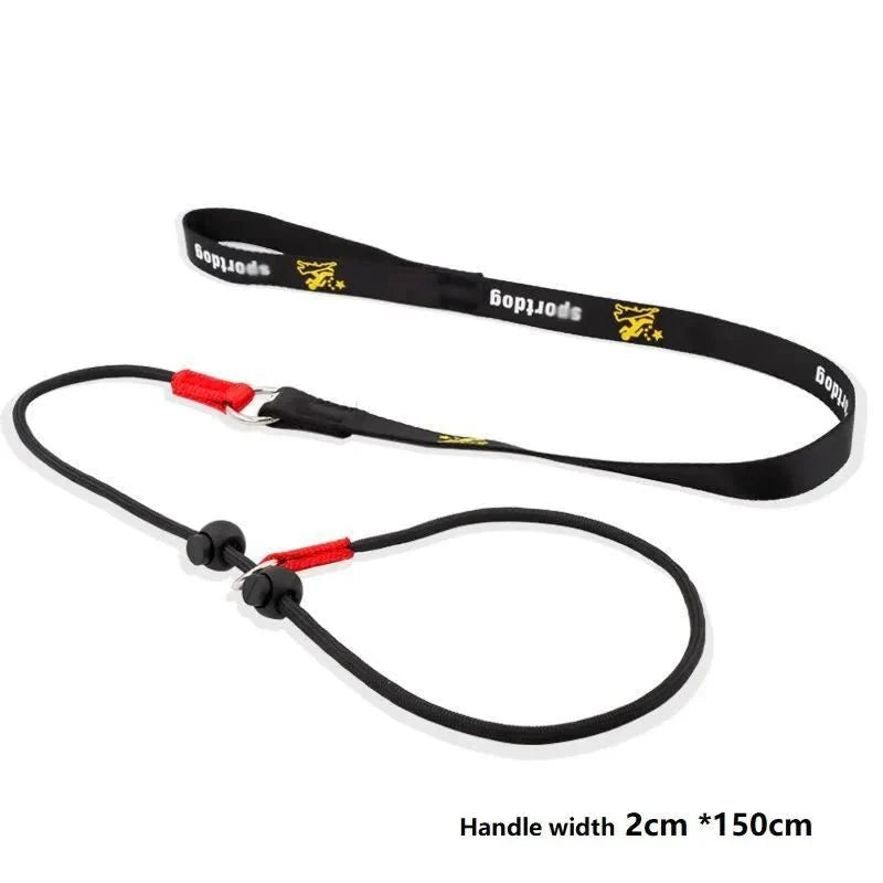 2-in-1 Slip Leash & Collar
