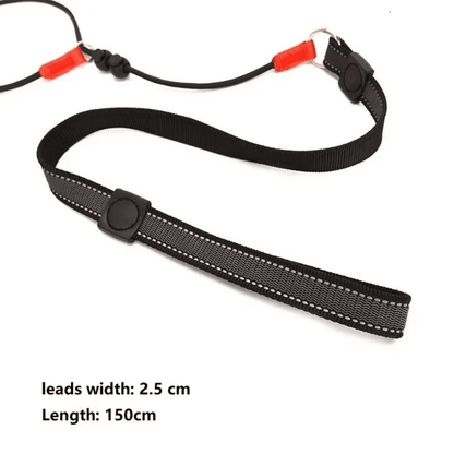 2-in-1 Slip Leash & Collar