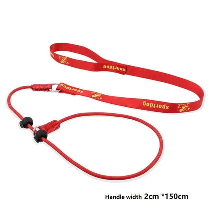 2-in-1 Slip Leash & Collar