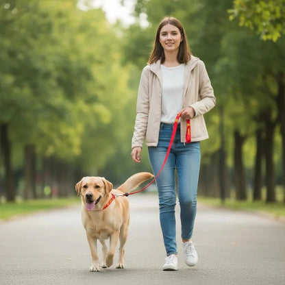 2-in-1 Slip Leash & Collar