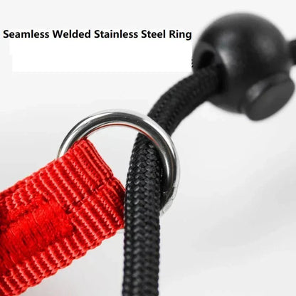 2-in-1 Slip Leash & Collar