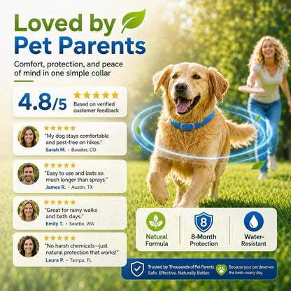 Natural Essential Oil Flea Collar Bug Repellent Collar For Dogs