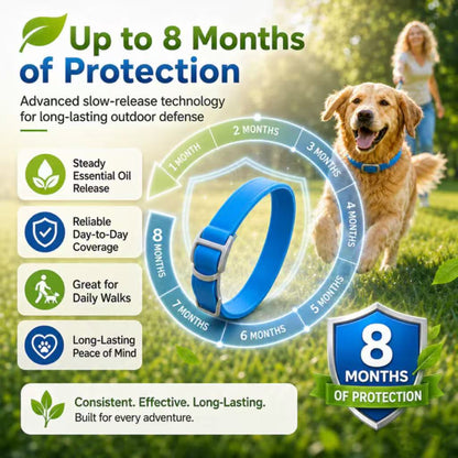Natural Essential Oil Flea Collar Bug Repellent Collar For Dogs