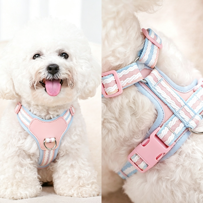 Mesh Dog Harness Leash Set For Small Puppy Dogs
