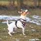 No Pull Adjustable Safety Dog Harness For Small Medium Large Breeds