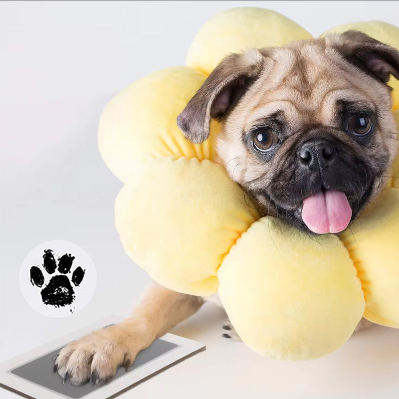 👀 Everyone’s Loving These ❤️Pet Paw Print Kit for Dogs & Cats Keepsake Memories