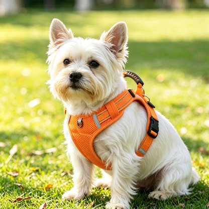 Reflective Anti Escape Harness For Small Medium Dogs
