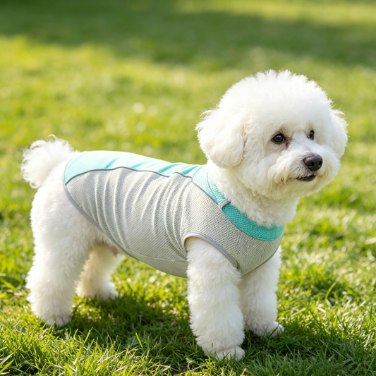 Cooling Polyester Breathable Sling Vest For Medium Small Dogs