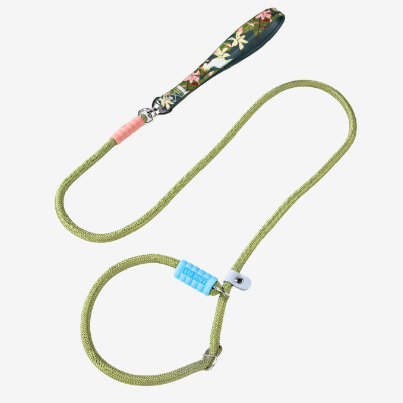 Nylon Anti Pull Slip Lead Leash For Medium Large Dogs