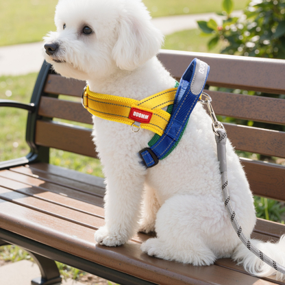 Adjustable Mesh Vest Harness For Medium Small Dogs