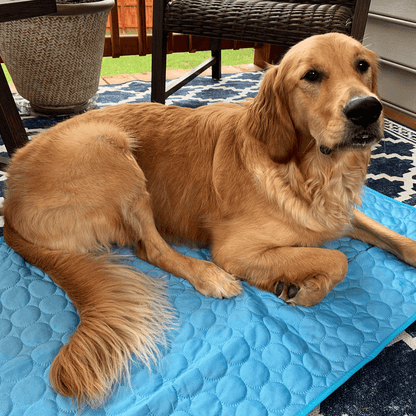 Breathable Self Cooling Pet Mat Heat Relief Pad For Dogs Cats Summer Use