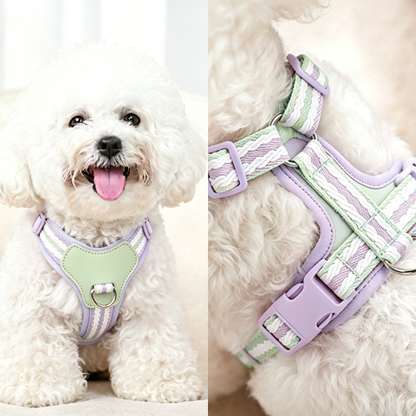 Mesh Dog Harness Leash Set For Small Puppy Dogs