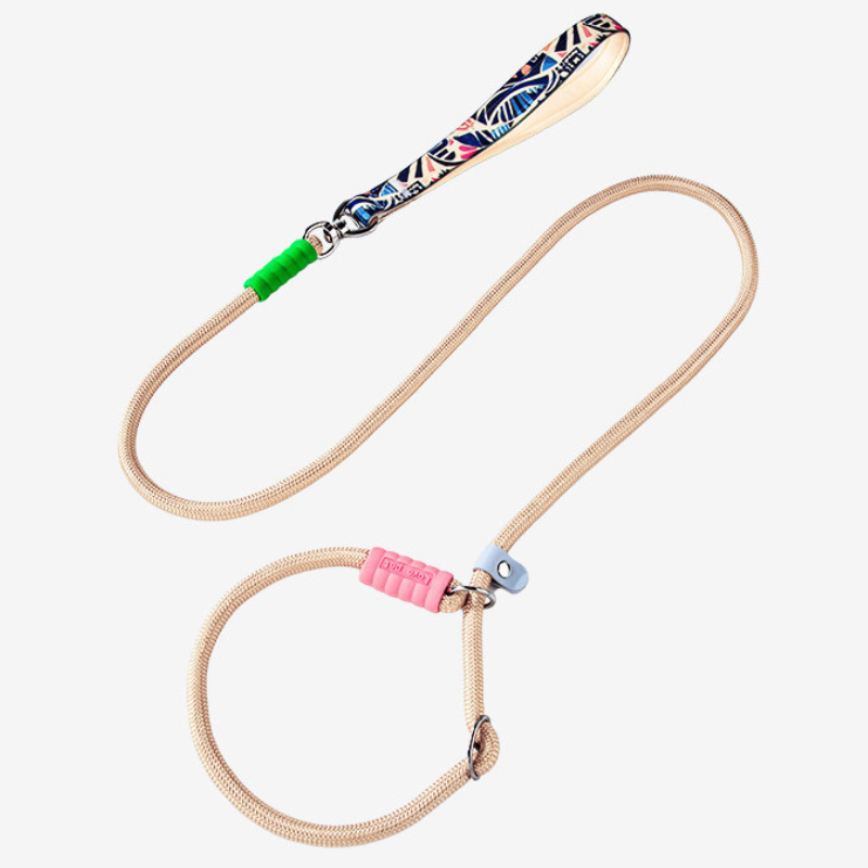 Nylon Anti Pull Slip Lead Leash For Medium Large Dogs