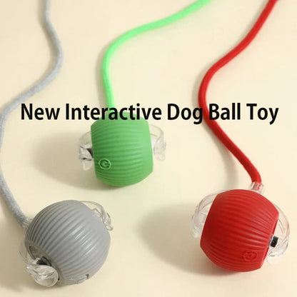 Automatic Moving Interactive Pet Ball Self Playing Toy For Cats