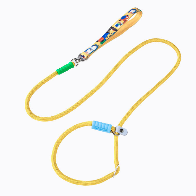 Nylon Anti Pull Slip Lead Leash For Medium Large Dogs