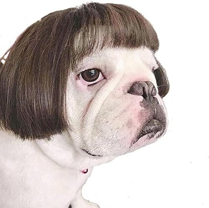 Funny Pet Wig Costume Collection