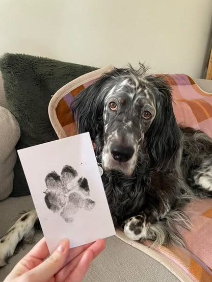 👀 Everyone’s Loving These ❤️Pet Paw Print Kit for Dogs & Cats Keepsake Memories