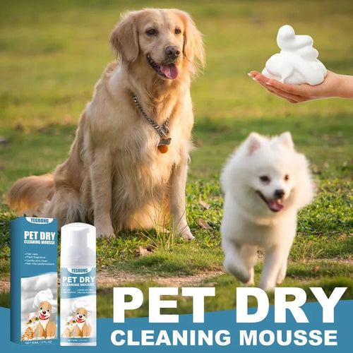 60ml Pet Dry Cleaning Deodorant Smooth Hair Foam Mousse