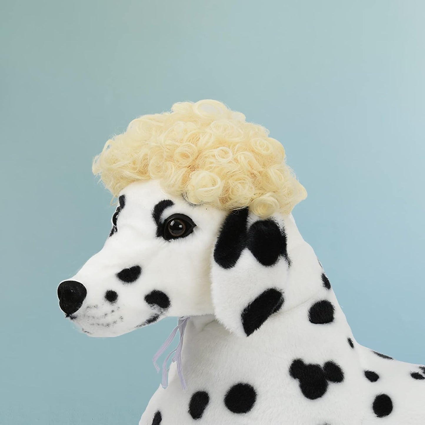Funny Pet Wig Costume Collection