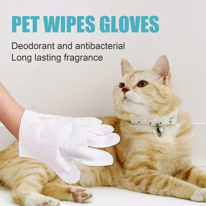 Disposable Cleaning Gloves