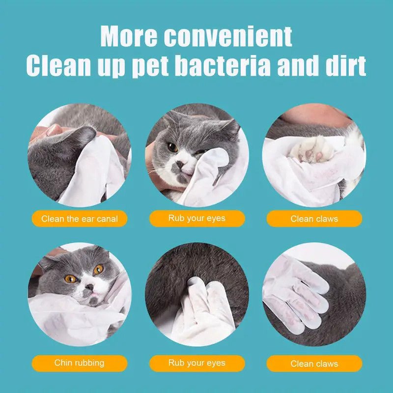 Disposable Cleaning Gloves