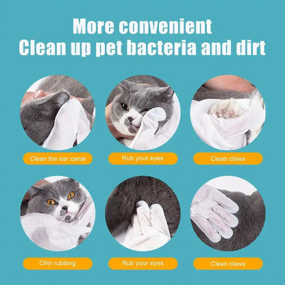 Disposable Cleaning Gloves