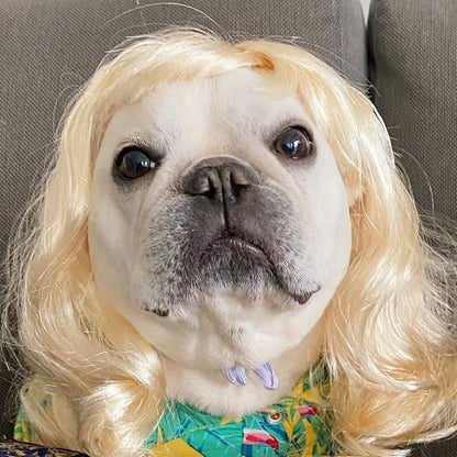 Funny Pet Wig Costume Collection