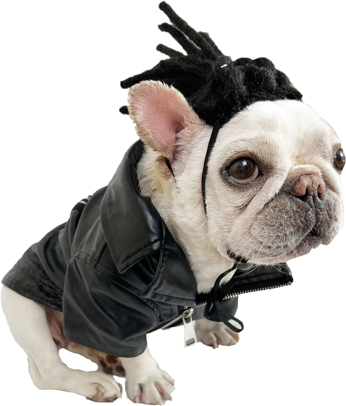 Funny Pet Wig Costume Collection