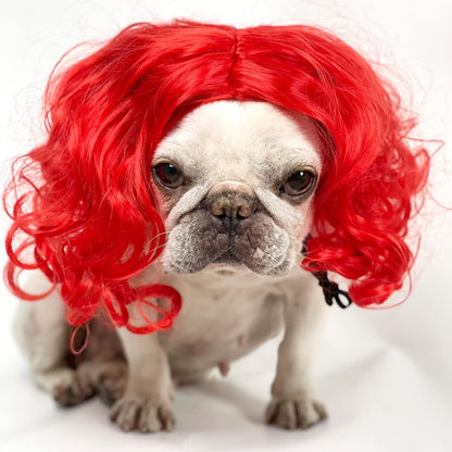 Funny Pet Wig Costume Collection