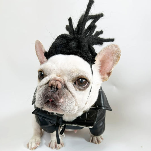 Funny Pet Wig Costume Collection