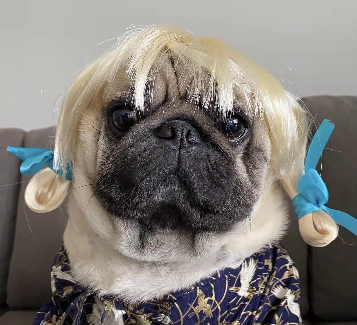 Funny Pet Wig Costume Collection